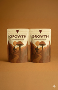 Regular Roast Mushroom Coffee 2-Bag Focus Bundle (25% OFF)